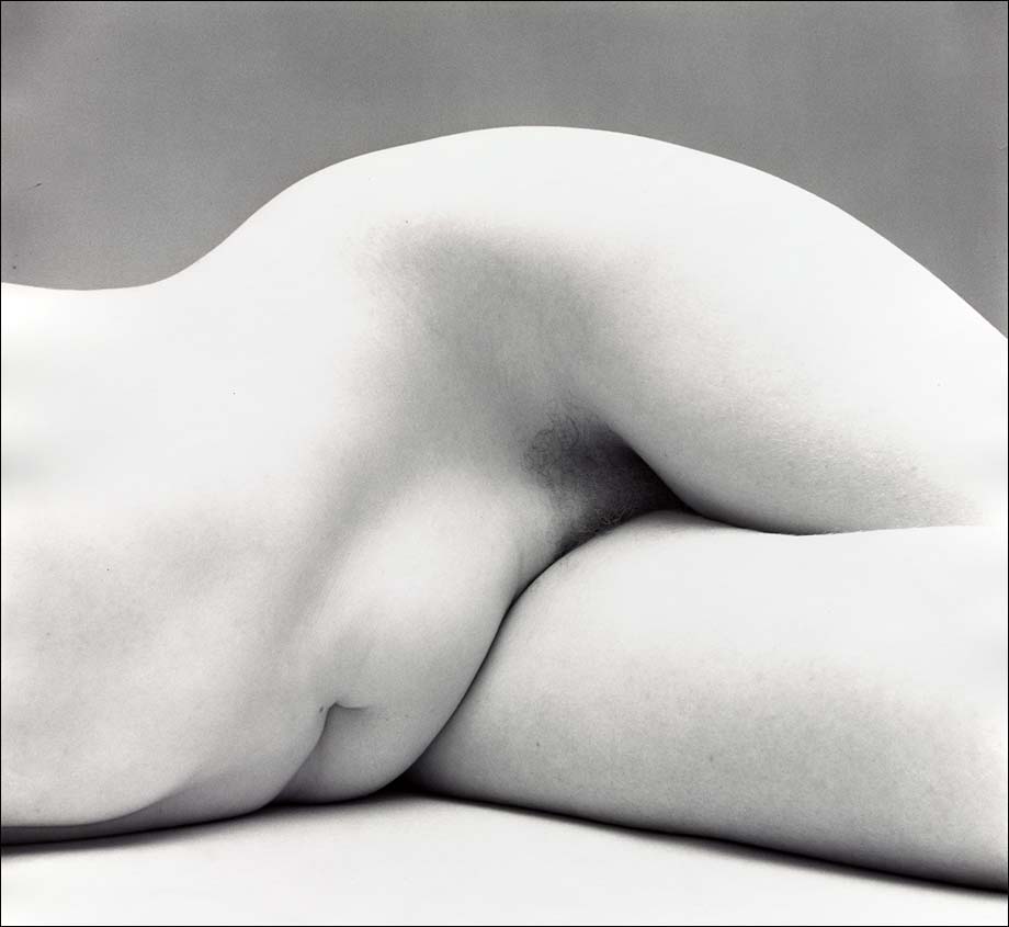 Nude No. 62, photo, Irving Penn