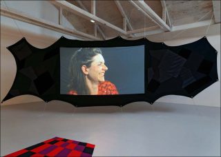 Have you seen Pantopon Rose?, installation, Julie Béna