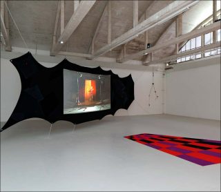 Have you seen Pantopon Rose?, installation, Julie Béna