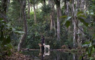 DJo, photo, Laura Henno