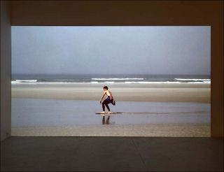 Surfer un arbre, installation, Nicolas Floc'h