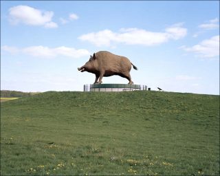 10 mètres de haut et 15 mètres de long, photo, Baptiste Schmitt