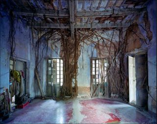 Tribunal de première instance, photo, Thomas Jorion