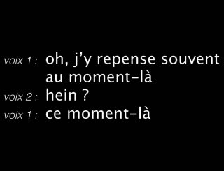 Les Voix du soir, Pièces sonores, Dominique Petitgand