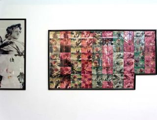 Les artichauts, photo, Edouard Nono