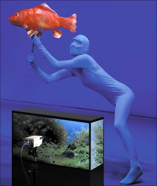 Laura bleue et le poisson rouge, installation, Pierrick Sorin