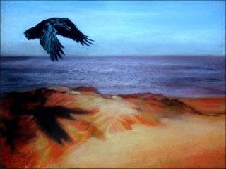 Le corbeau de Porto, dessin, Guillaume Pinard