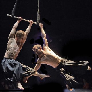 What will have been, cirque contemporain, Compagnie Circa