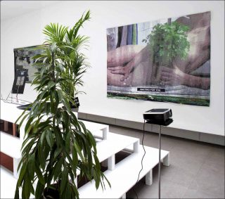 Looking at You Looking at Us , installation, Laure Prouvost