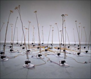 Tele-present wind, installation, David Bowen