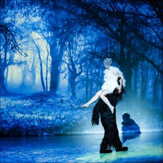 MOB + M.M.O., Danse contemporaine, Lionel Hoche