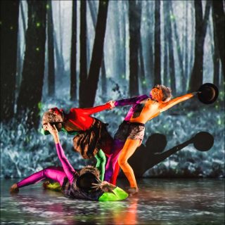 MOB + M.M.O., Danse contemporaine, Lionel Hoche