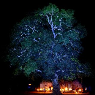 Marché Nocturne, photo, Pascal Maitre