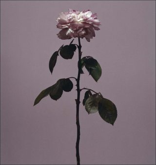 Œillères, photo, Roberto Greco