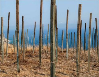 Matière noire, photo, Geoffroy Mathieu
