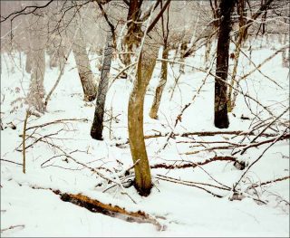 Entre(s), photo, Jean Luc Tartarin