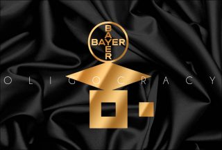 Oligocracy, composition, PSJM