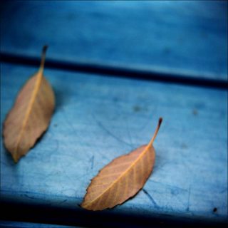 Nara, photo, Patrick Taberna