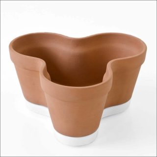 Kensaku Oshiro, Clover Pot
