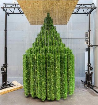 Le sapin de l’Onde, installation, Grout / Mazéas