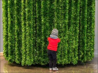 Le sapin de l’Onde, installation, Grout / Mazéas