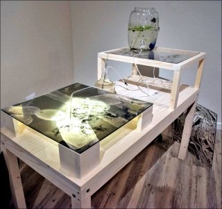 Machine pour dessin vivant, installation, Iglika Christova