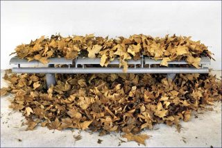 Never Mind, photo, André Mérian