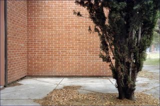 Never Mind, photo, André Mérian