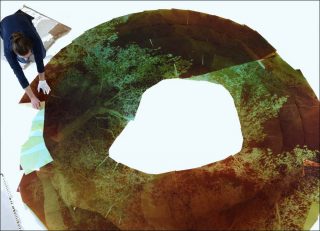 Liquidambar, installation, Jonas Delhaye