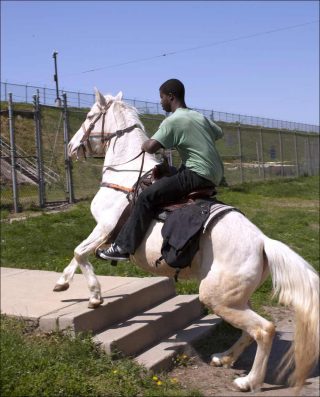 Sans titre, photo, Mohamed Bourouissa