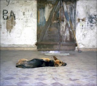 Zone 54, documentaire photo, Amandine Turri Hoelken