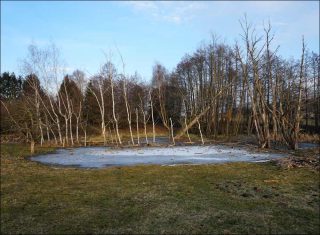 Les Prémices, photo, Morgane Britscher