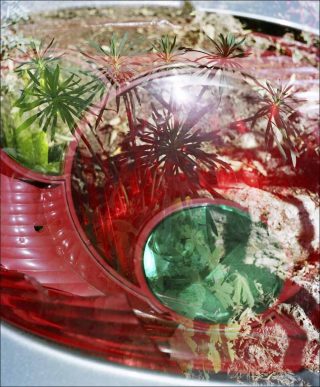 Ménilmontant #1, photo, Philippe Durand