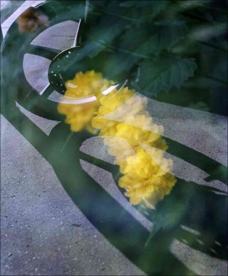 Ménilmontant #6, photo, Philippe Durand