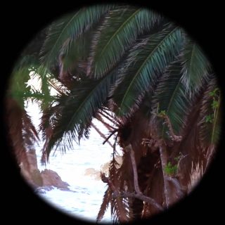 Constellation, installation vidéo, Rebecca Bournigault