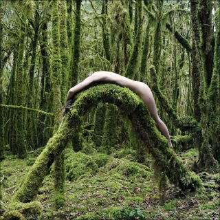 David Drouard, (S)acre, 2017