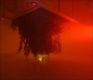 Vocoder & Camouflage, installation, Jonathan Uliel Saldanha