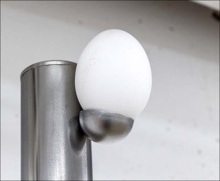 Elvis Kisses, installation, Rémy Brière