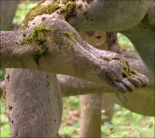 Body Sleep, film, Jessica Warboys