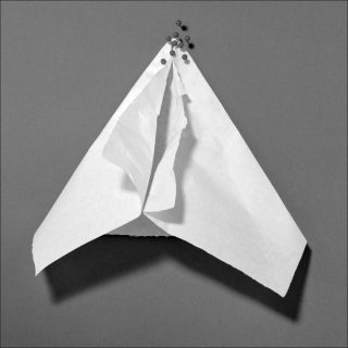 Front bottom, photo, Allyssa Heuze