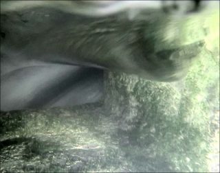 Fosse #1, vidéo, Anne-Charlotte Finel