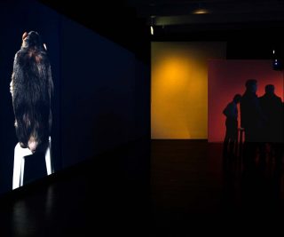 Potentiality for Love, installation, Eija-Liisa Ahtila