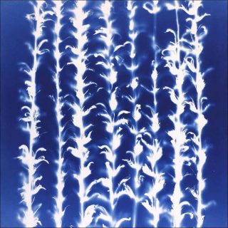 Inhancutilitatem, cyanotype. Josef Nadj