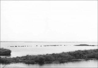 Delta del Po, photo, Marina Ballo Charmet