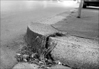 Con la coda dell’occhio #17, photo, Marina Ballo Charmet