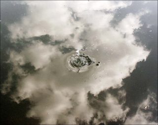 Reflect, photo, Viriya Chotpanyavisut