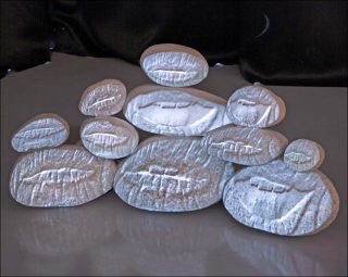 Dormeurs, vidéoprojection, Samuel Rousseau