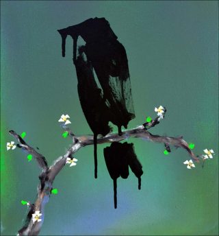 Corbeaux, photo, Fabien Boitard