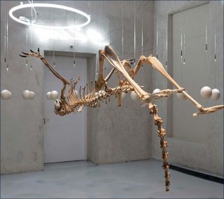 Andachstraum, installation, Art Orienté Objet