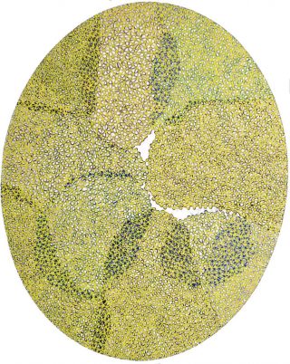 ...2184 Etc..., peinture, Didier Mencobini